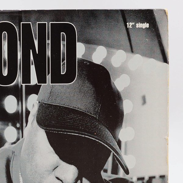 Diamond D – The Hiatus